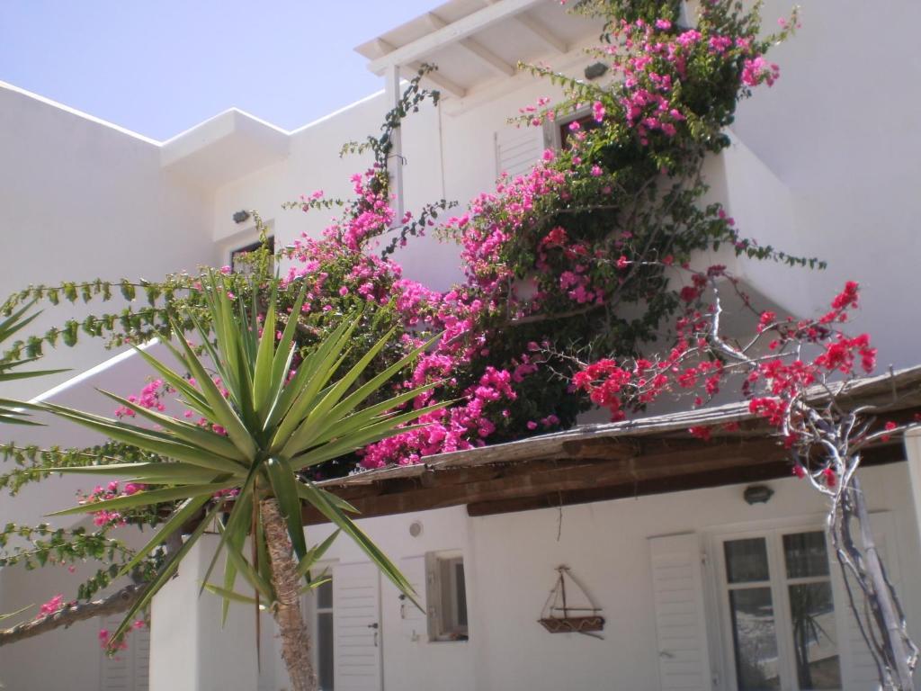Paros Rita Studios ปิโซ ลิวาดิ ภายนอก รูปภาพ